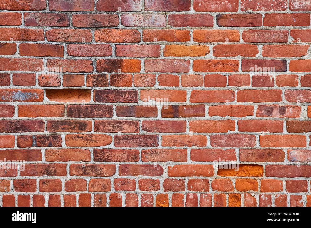 Beaucoup de briques rouges sur le mur avec deux échancrures et rangée inférieure de briques minuscules et verticales Banque D'Images