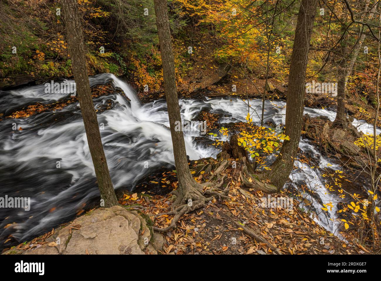 Mohawk Falls en automne, parc national Ricketts Glen, Pennsylvanie Banque D'Images