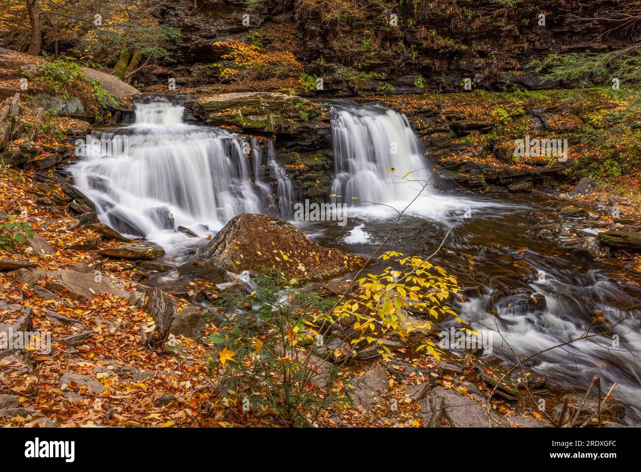 Cayuga Falls en automne, Ricketts Glen State Park, Pennsylvanie Banque D'Images