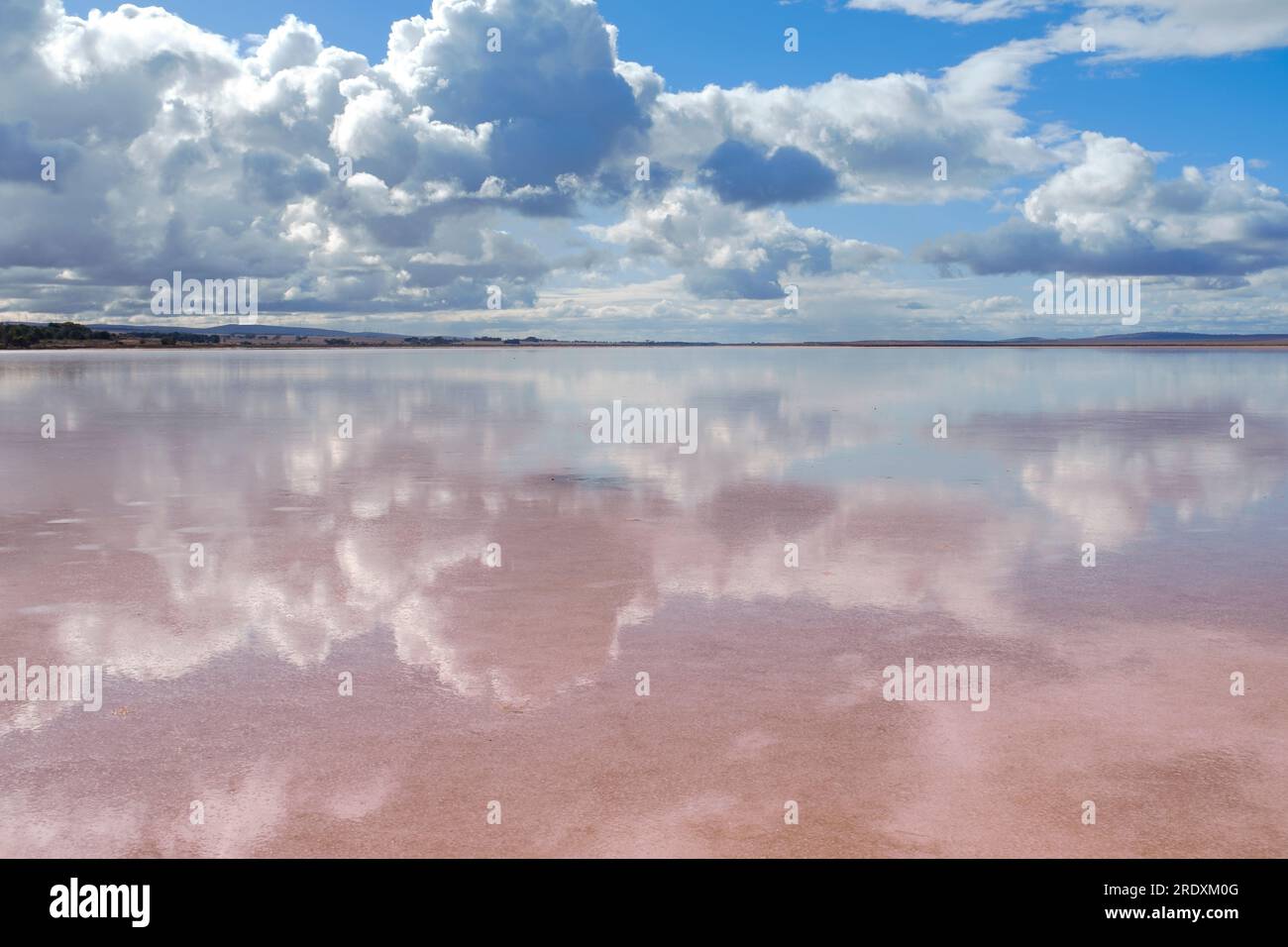 Un ciel ensoleillé de l'outback se reflète dans les eaux peu profondes du lac Bumbunga, un lac de sel rose à Lochiel, dans le centre-nord de l'Australie méridionale Banque D'Images