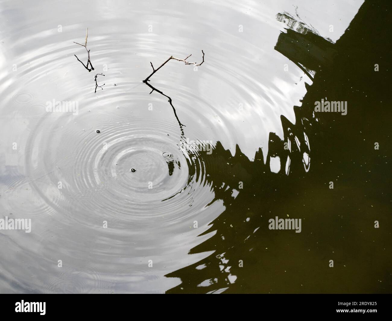 Sous un pont de chemin de fer abandonné sur la Tamise à Kennington, une vision de la beauté abstraite des reflets et des ondulations. Banque D'Images