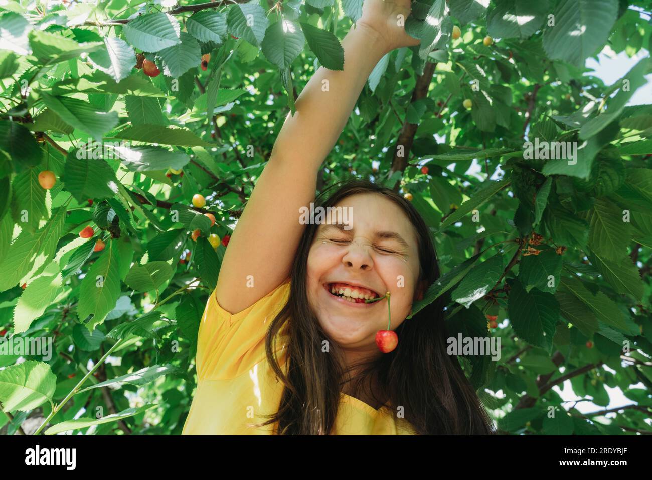 Fille souriante en t-shirt jaune mordant cerise dans le jardin Banque D'Images