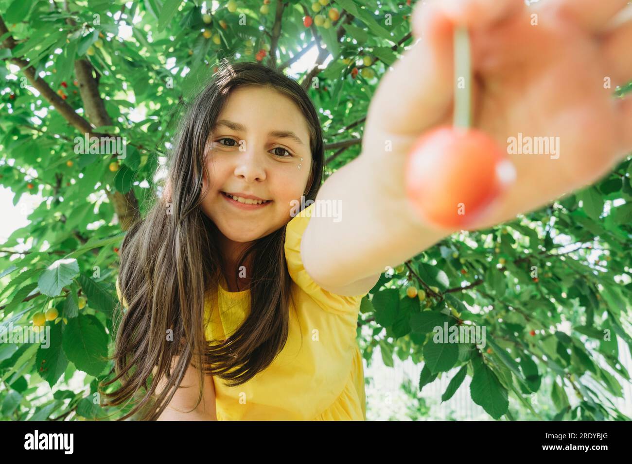 Fille souriante montrant cerise dans le jardin Banque D'Images