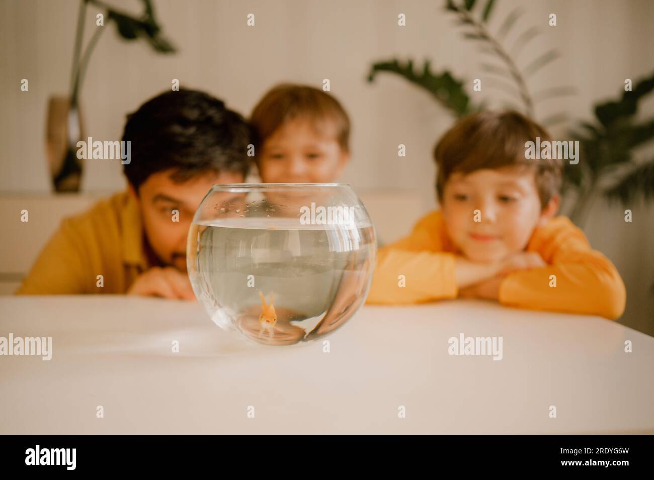 Père avec des enfants regardant le poisson dans un bol Banque D'Images