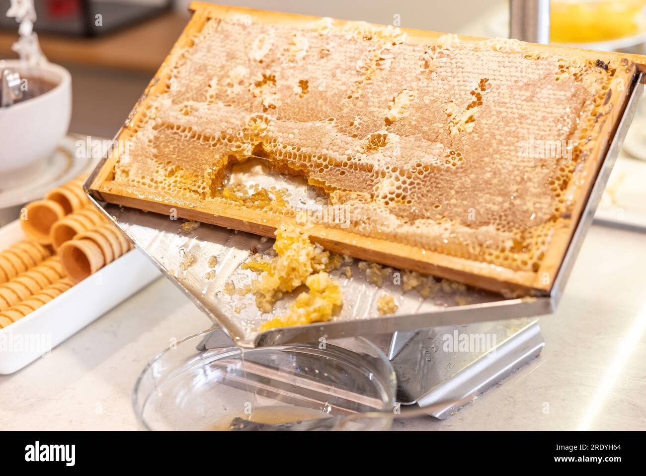 Nid d'abeille dans une boîte en acier inoxydable dans un restaurant sur une table de buffet. Banque D'Images