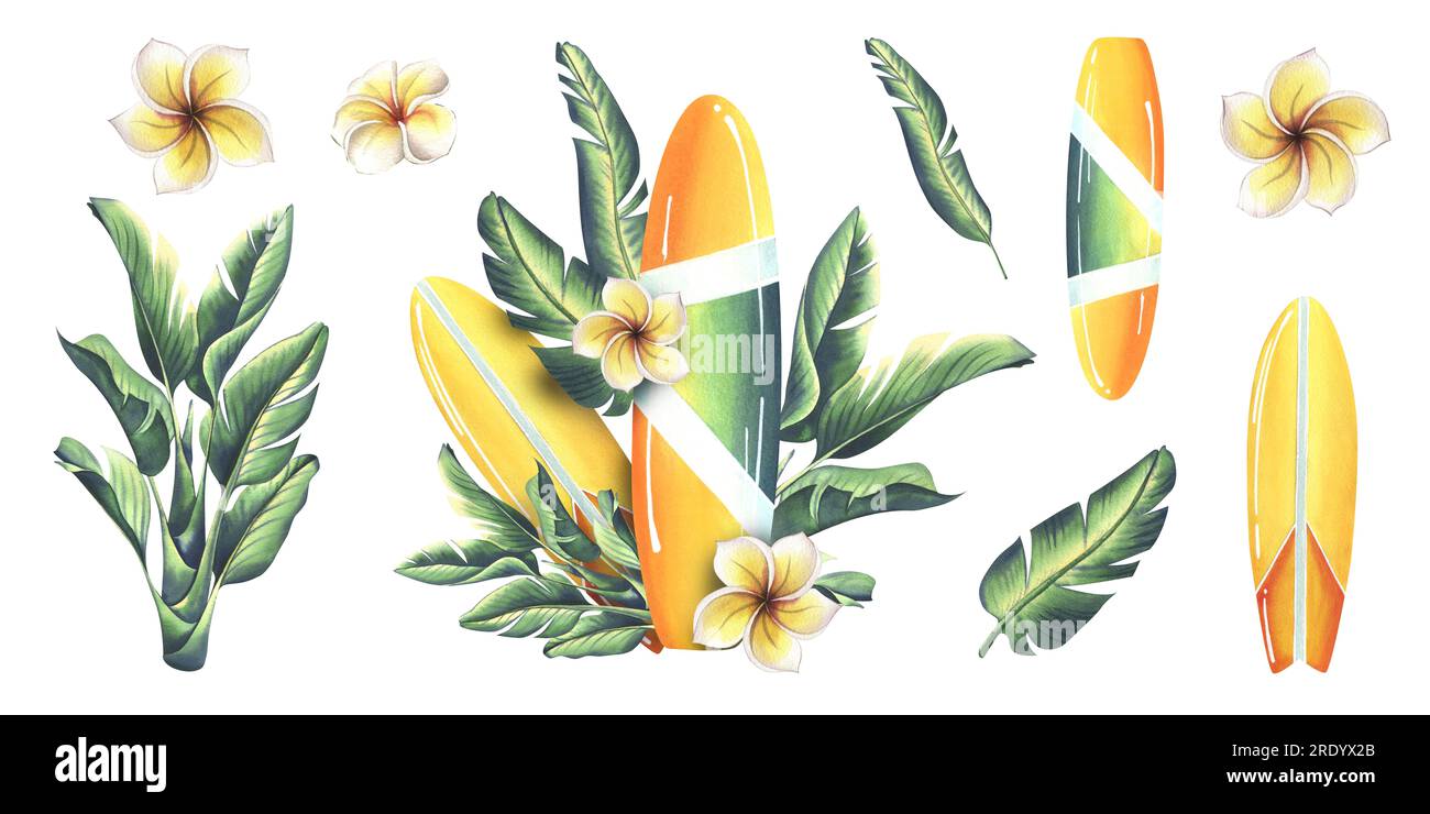 Planche de surf en jaune et vert avec des rayures avec des feuilles tropicales et des fleurs de plumeria. Illustration à l'aquarelle dessinée à la main. Ensemble d'éléments isolés Banque D'Images