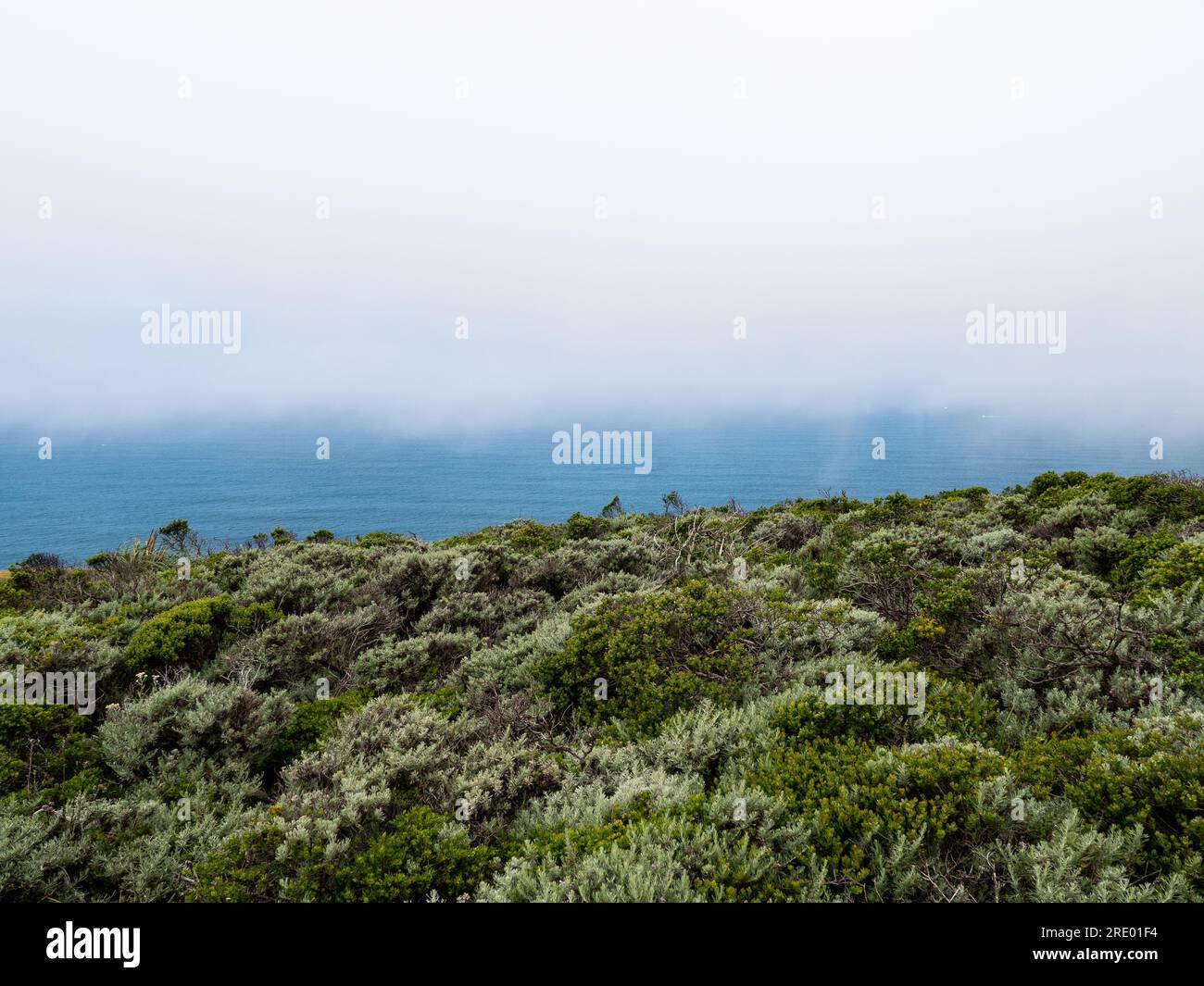 Colline côtière verte avec océan bleu et ciel brumeux Banque D'Images