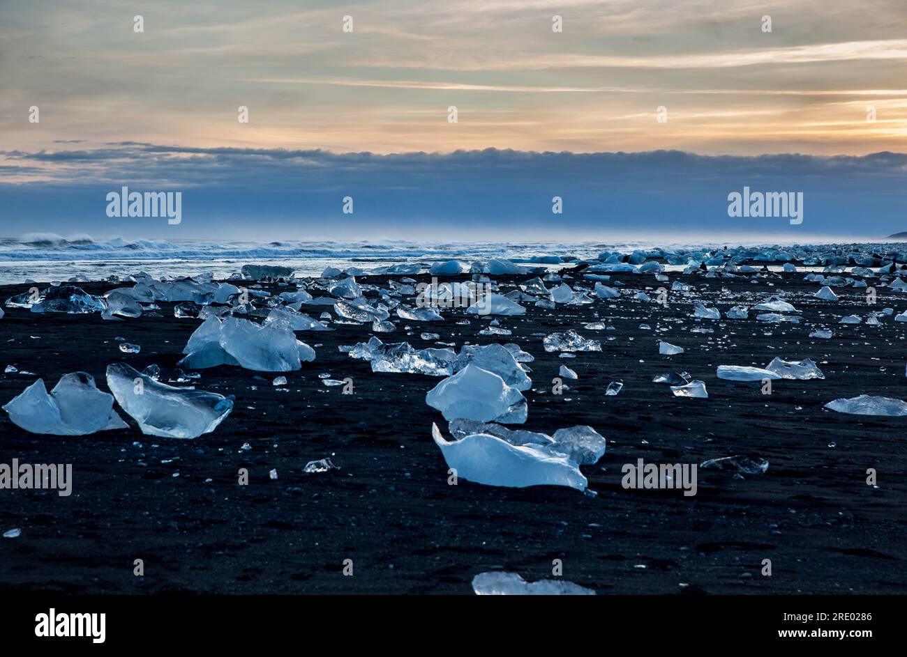 Plage de sable noir pleine de glace en Islande Banque D'Images