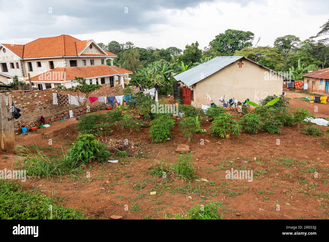 Quartier résidentiel à la périphérie d'Entebbe. Ouganda Banque D'Images