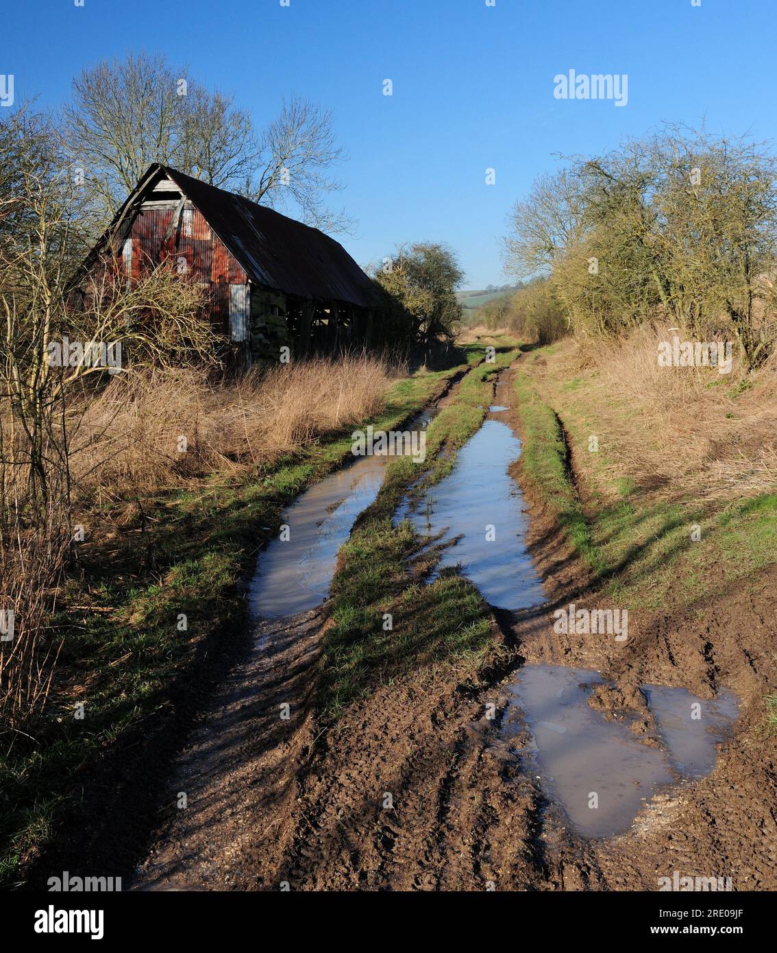 Une ancienne grange à côté d'une voie inondée à travers les Lambourn Downs près d'Aldbourne, Wiltshire. Banque D'Images