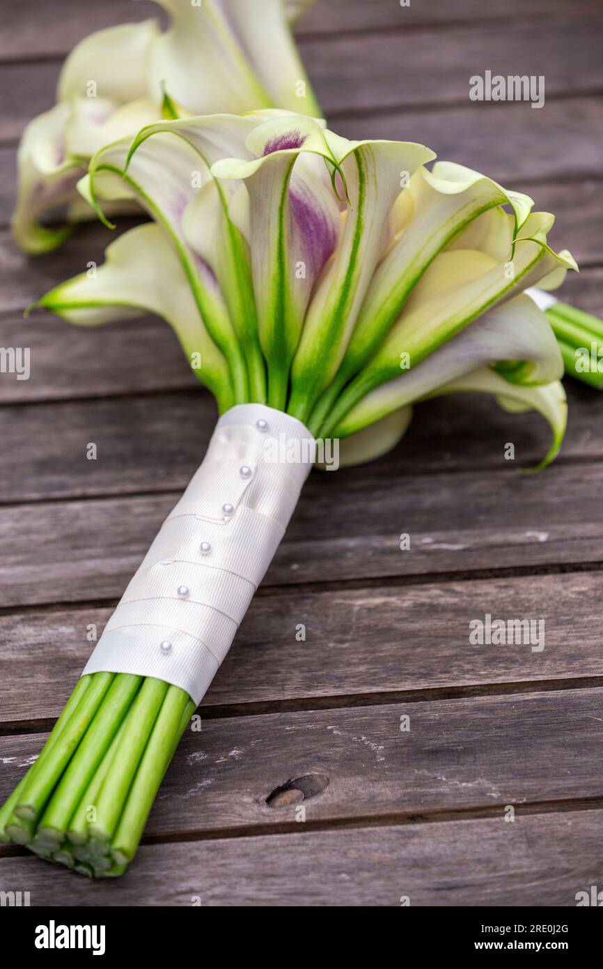 Bouquets de demoiselles d'honneur avec lys Calla enveloppés dans un ruban blanc Banque D'Images