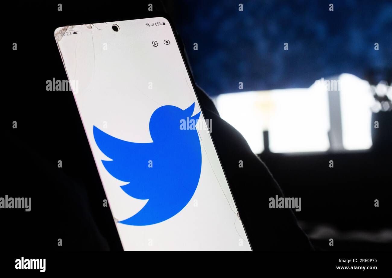 L'oiseau de Twitter dormira-t-il bientôt ? Elon Musk écrit sur les réseaux sociaux que l'oiseau Twitter sera remplacé par un nouveau logo et que le nom sera remplacé par « X ». Banque D'Images