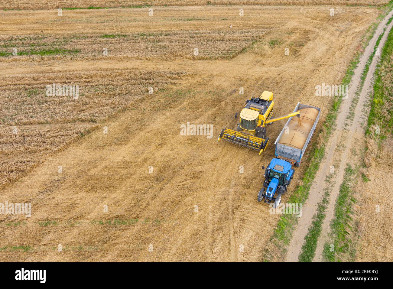 Moissonneuse-batteuse et tracteur travaillant sur un champ de blé. Vue aérienne de l'agriculture Banque D'Images
