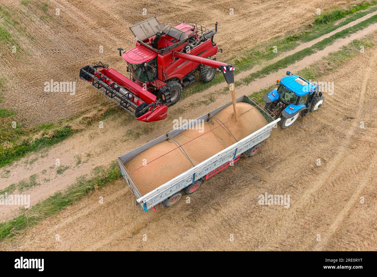 Tracteur avec remorque travaillant en tandem le long d'une moissonneuse-batteuse en état de marche déchargeant le grain du chargeur. Vue aérienne de l'agriculture Banque D'Images