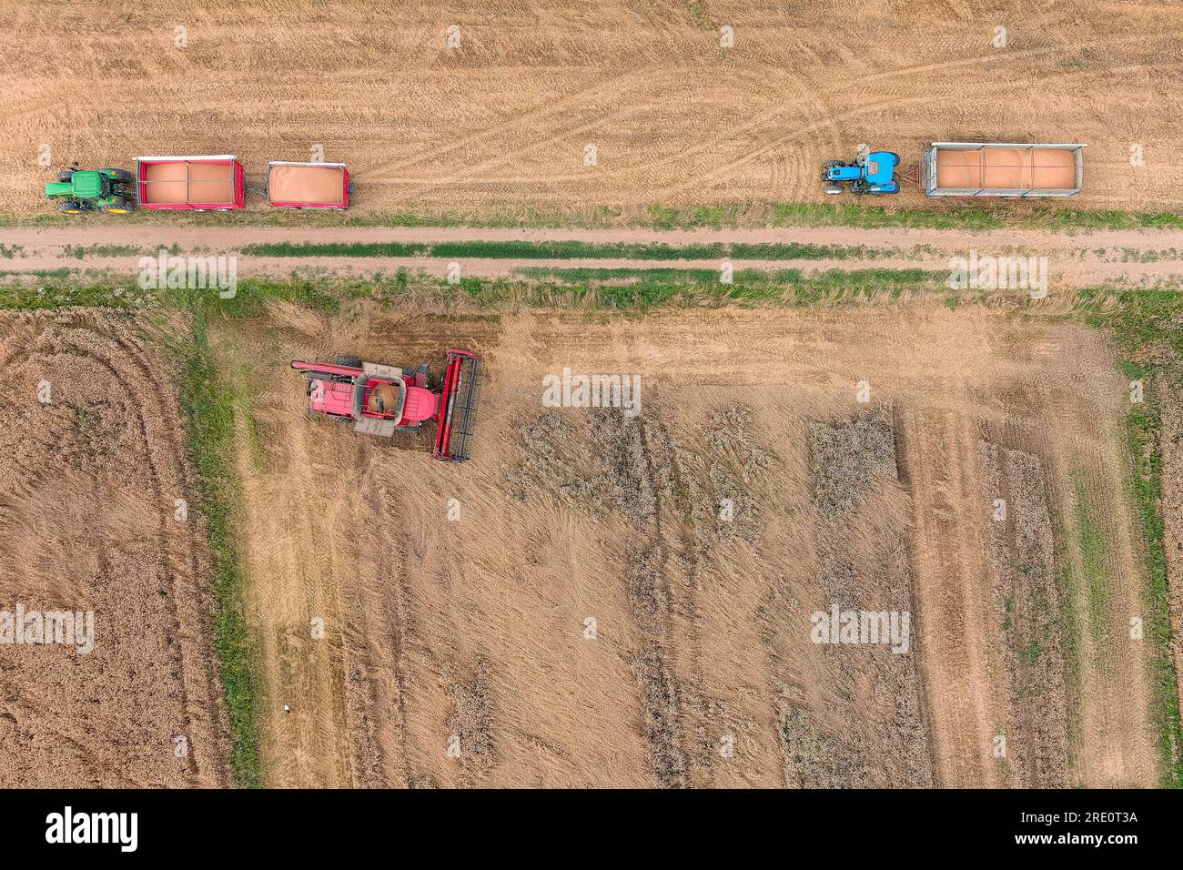 Moissonneuse-batteuse travaillant sur le champ de blé. Vue aérienne de l'agriculture Banque D'Images