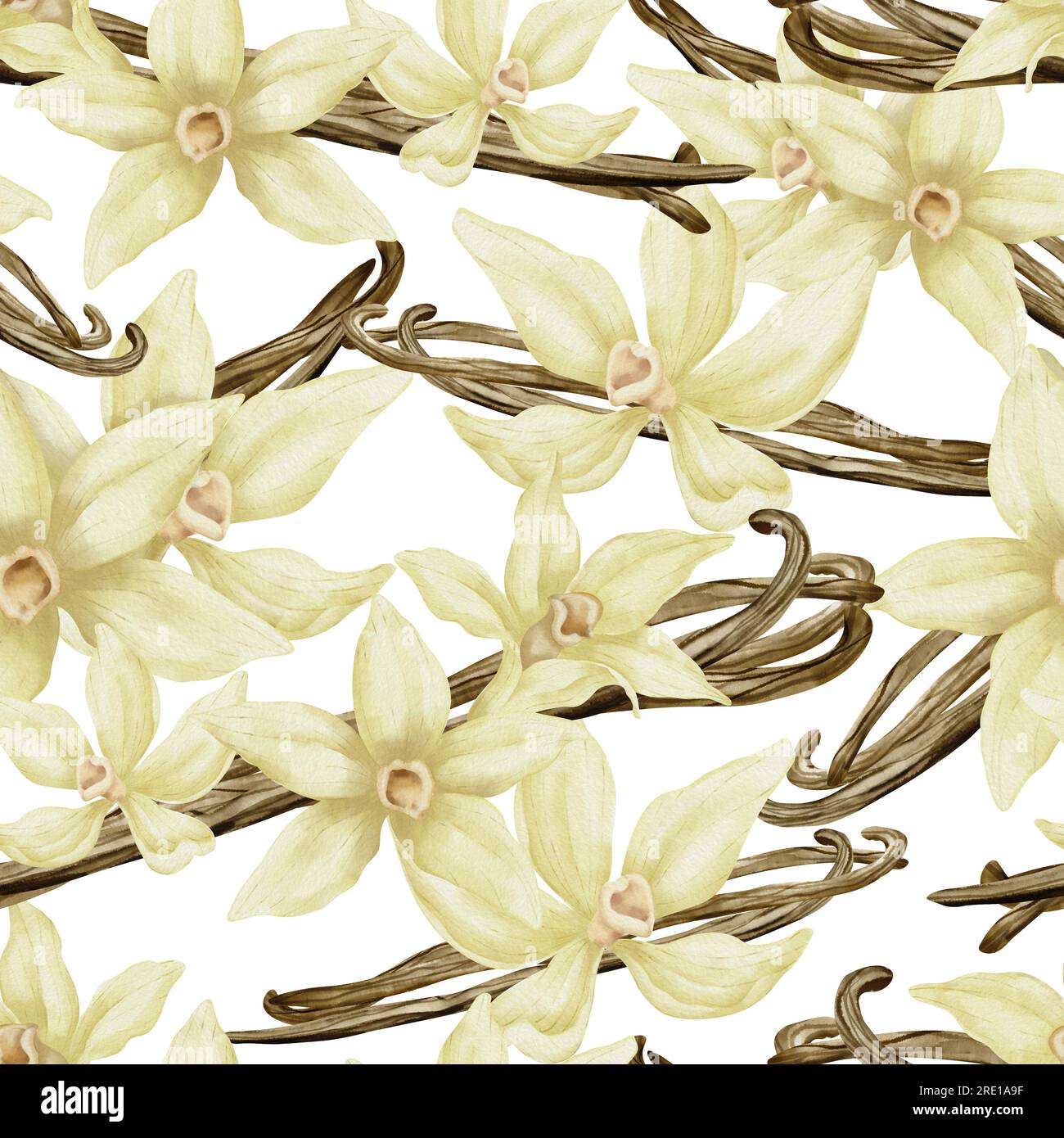 Motif sans couture Vanilla Flowers. Illustration à l'aquarelle florale dessinée à la main d'orchidées et de bâtons. Croquis d'épice alimentaire ou ingrédient pour l'huile essentielle pour envelopper le papier sur fond isolé blanc. Banque D'Images