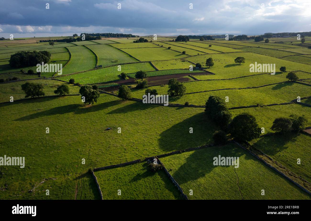 Vues de drone sur le paysage du district de Derbyshire Peak près de Monyash montrant le cloisonnement du champ de mur de pierre sèche Banque D'Images
