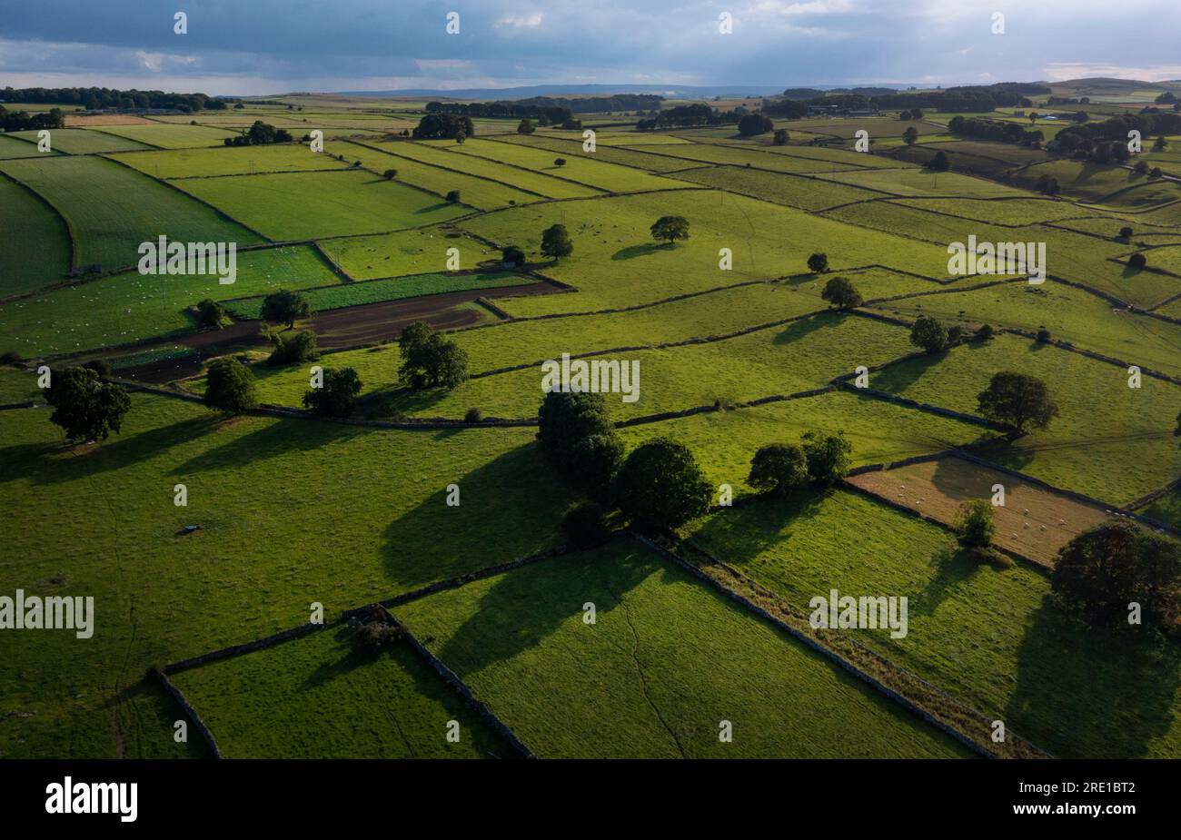 Vues de drone sur le paysage du district de Derbyshire Peak près de Monyash montrant le cloisonnement du champ de mur de pierre sèche Banque D'Images