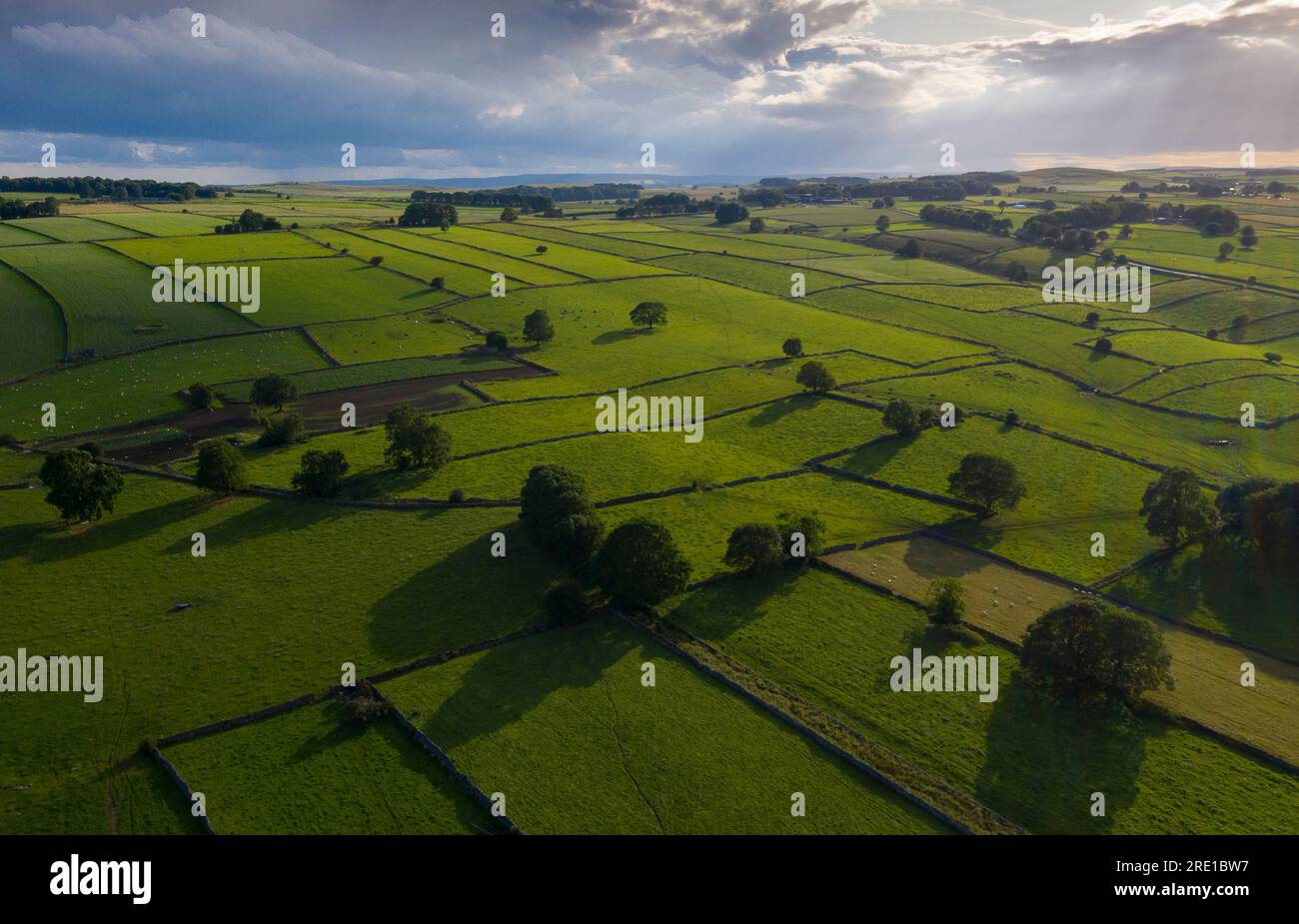 Vues de drone sur le paysage du district de Derbyshire Peak près de Monyash montrant le cloisonnement du champ de mur de pierre sèche Banque D'Images