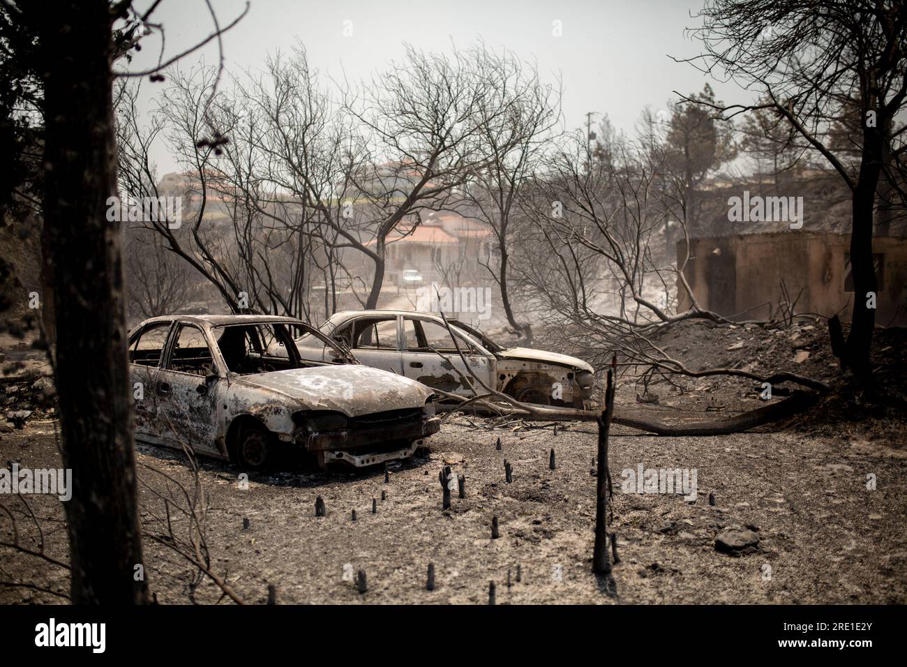 Kiotari, Grèce. 24 juillet 2023. Voitures brûlées dans le village de Kiotari. Les incendies de forêt font rage à Rhodes et dans d'autres parties de la Grèce. Crédit : Socrates Baltagiannis/dpa/Alamy Live News Banque D'Images