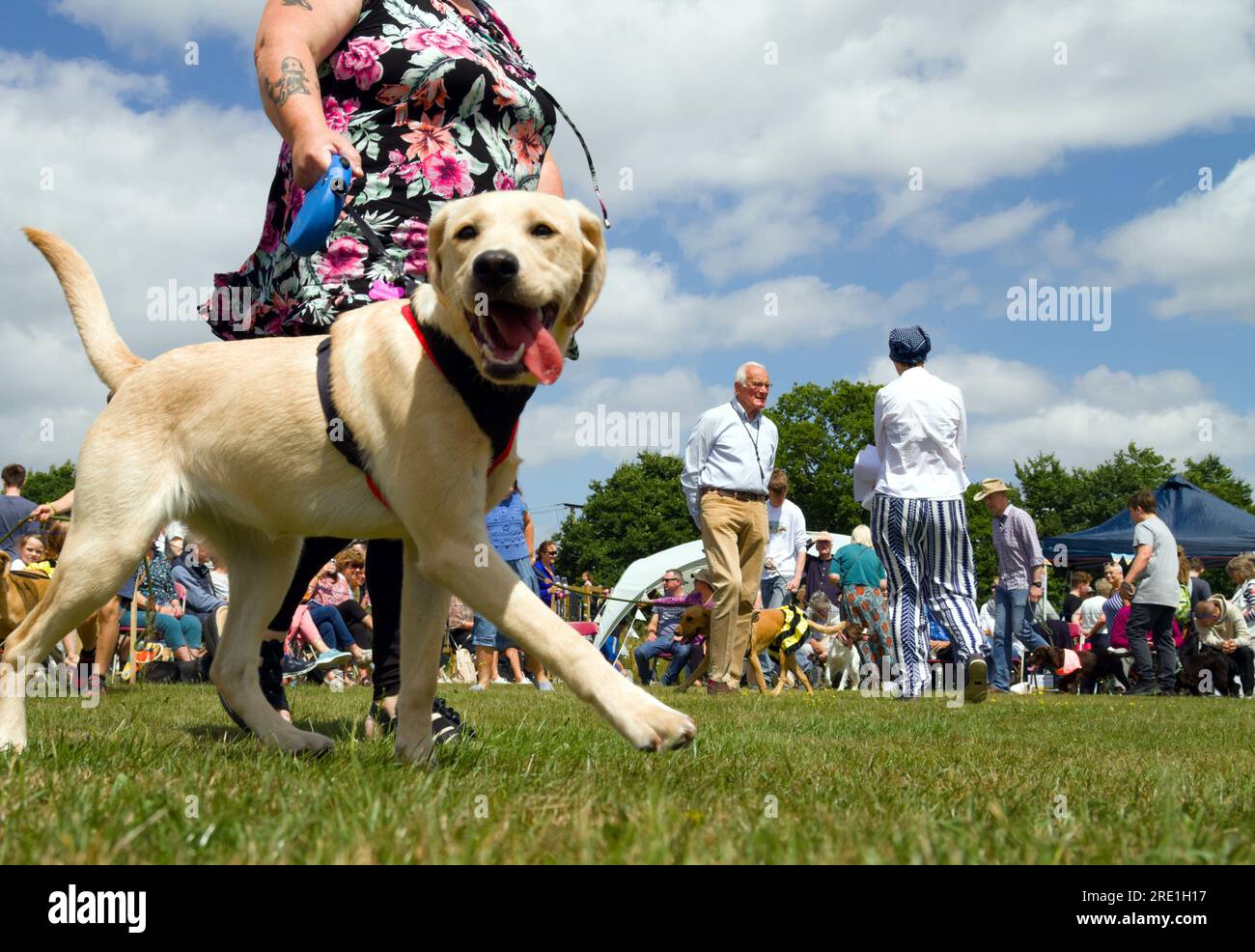 Deux juges regardent Une parade de chiens et de propriétaires lors D'Un spectacle canin avec des spectateurs assis à Un festival de village, Fair, Angleterre Royaume-Uni Banque D'Images