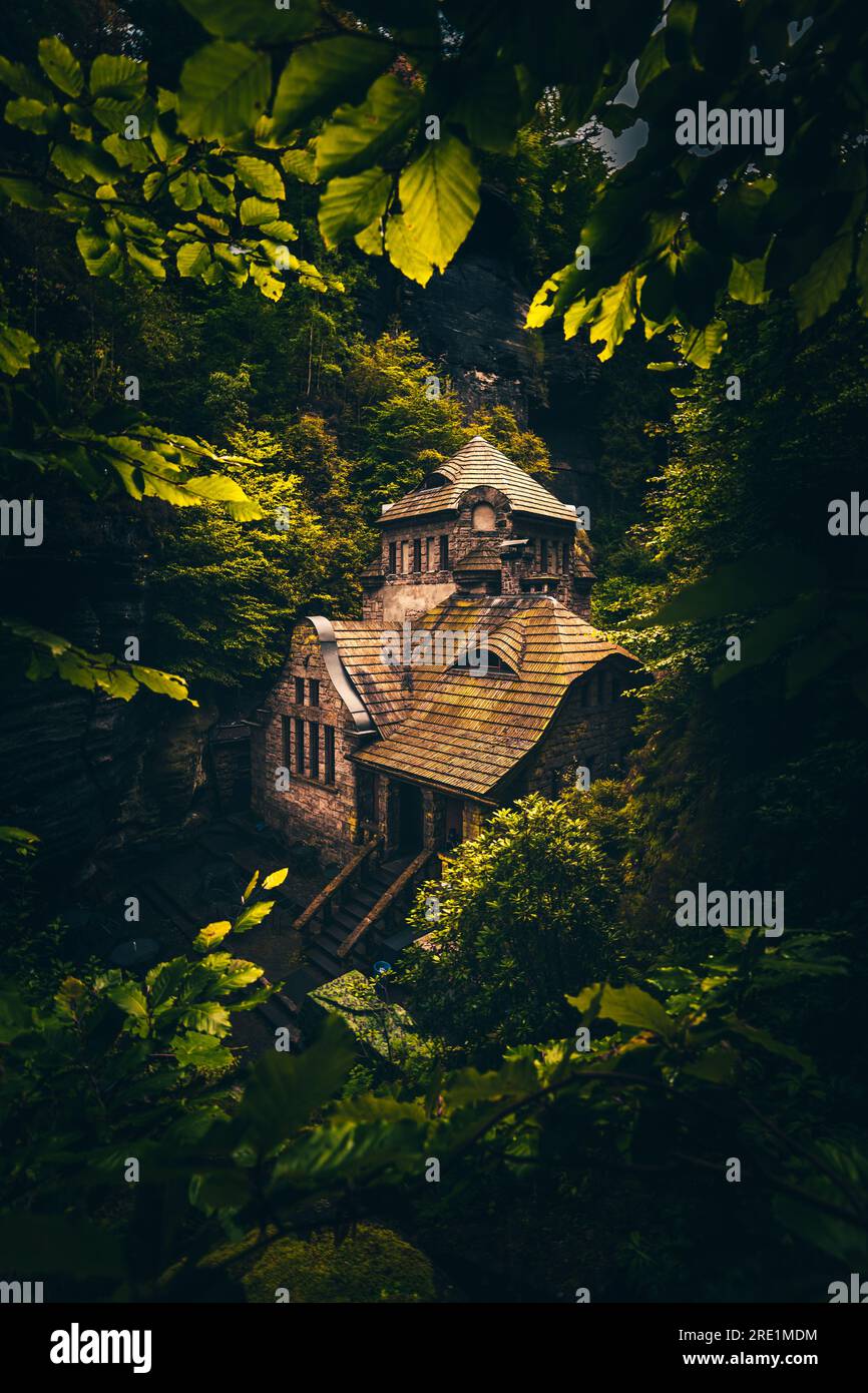 Buchenwald Serenity : captivant Hřensko, Tchéquie - Un paysage parfait pour l'image Banque D'Images