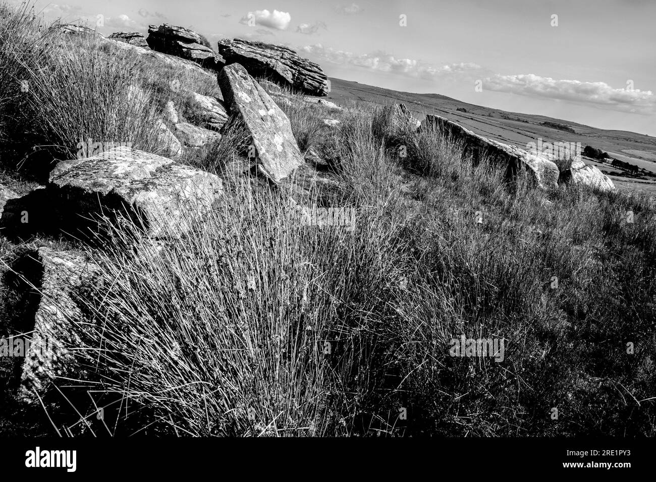 Pierres de granit sur Bodmin Moor Cornwall UK Banque D'Images