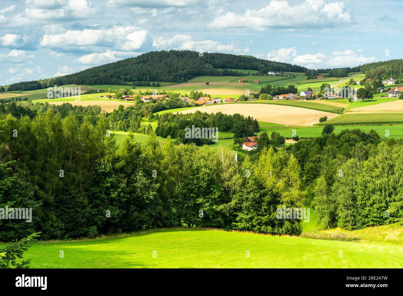 Paysage bavarois typique avec un petit village et quelques fermes et champs dans le Haut-Palatinat en été. Allemagne. Banque D'Images