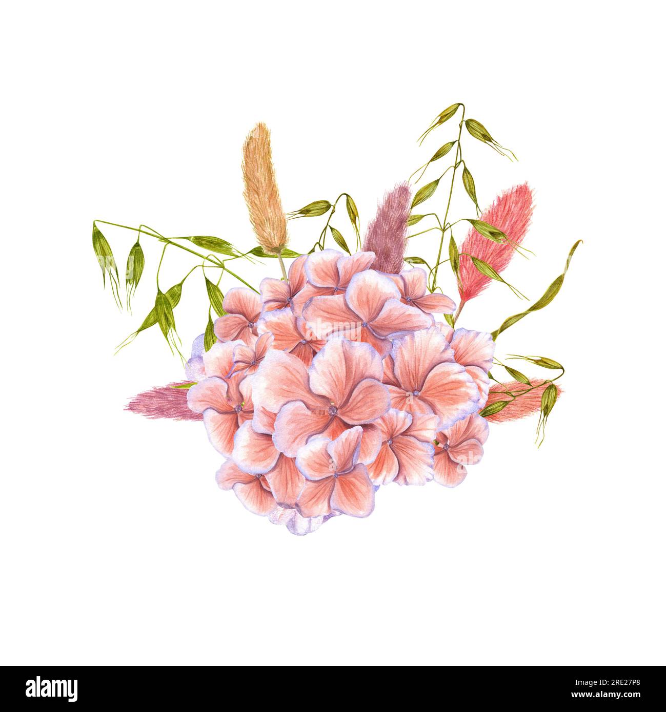 Composition florale d'hortensia, lagurus séchés, avoine sauvage. Illustration aquarelle de fleur, verdure isolée sur fond blanc. Bouquet Banque D'Images