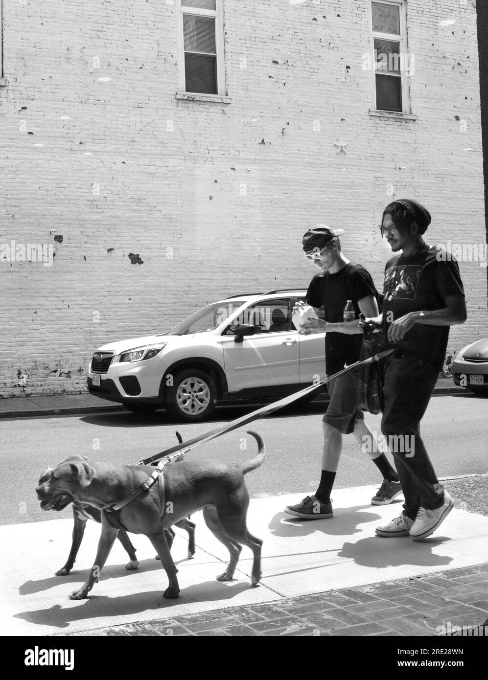 Deux jeunes hommes promènent leurs chiens sur un trottoir à Bristol, en Virginie. Banque D'Images