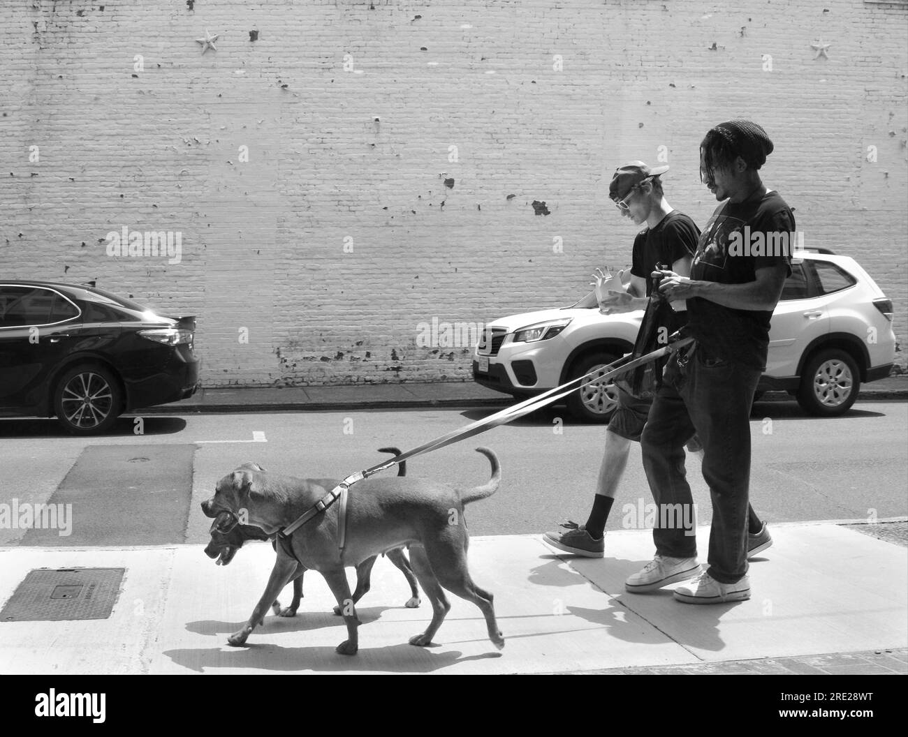 Deux jeunes hommes promènent leurs chiens sur un trottoir à Bristol, en Virginie. Banque D'Images