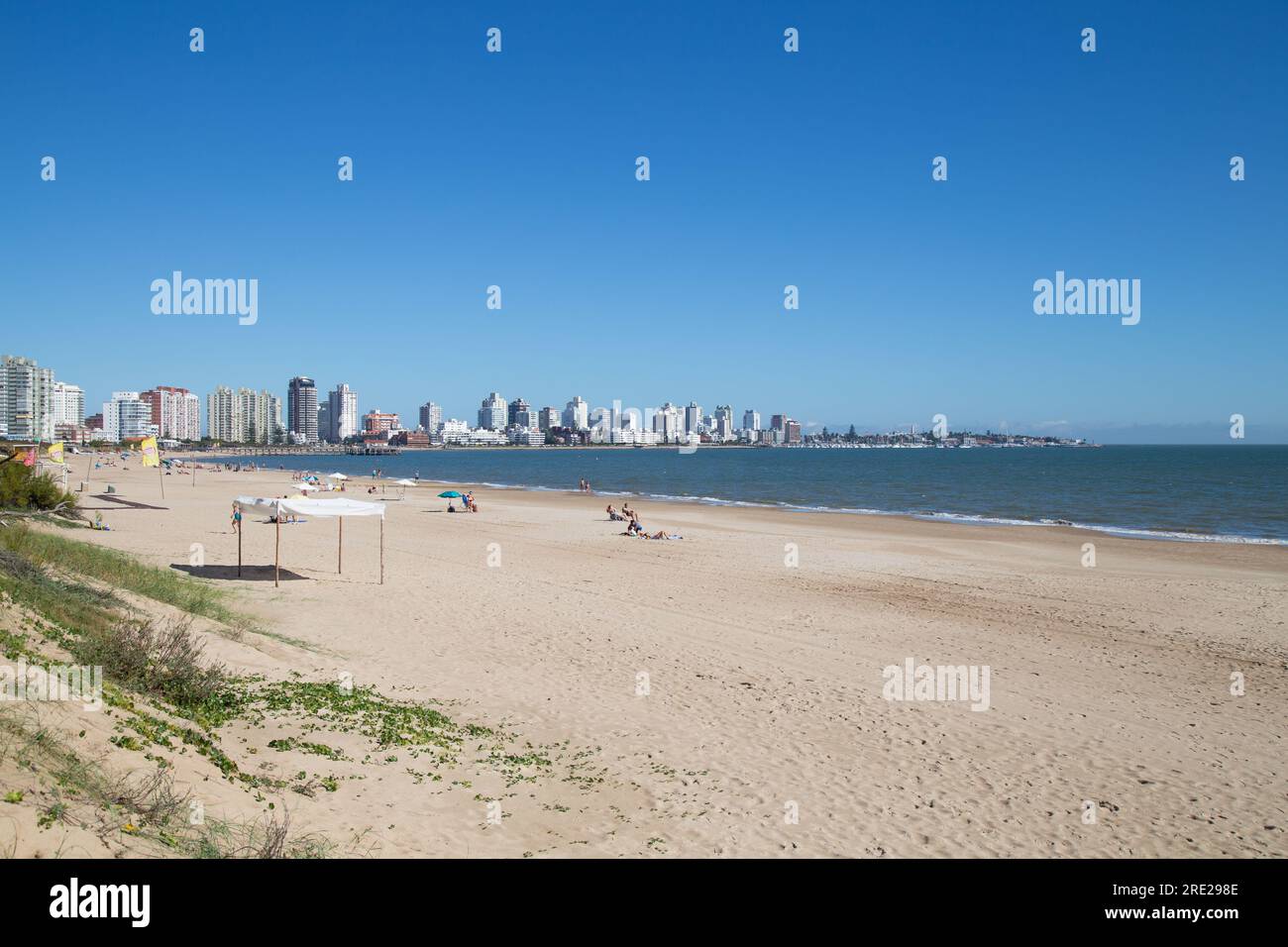 Vue imprenable sur Playa Mansa à Punta del Este, Maldonado, Uruguay, où les eaux tranquilles rencontrent le rivage de sable Banque D'Images