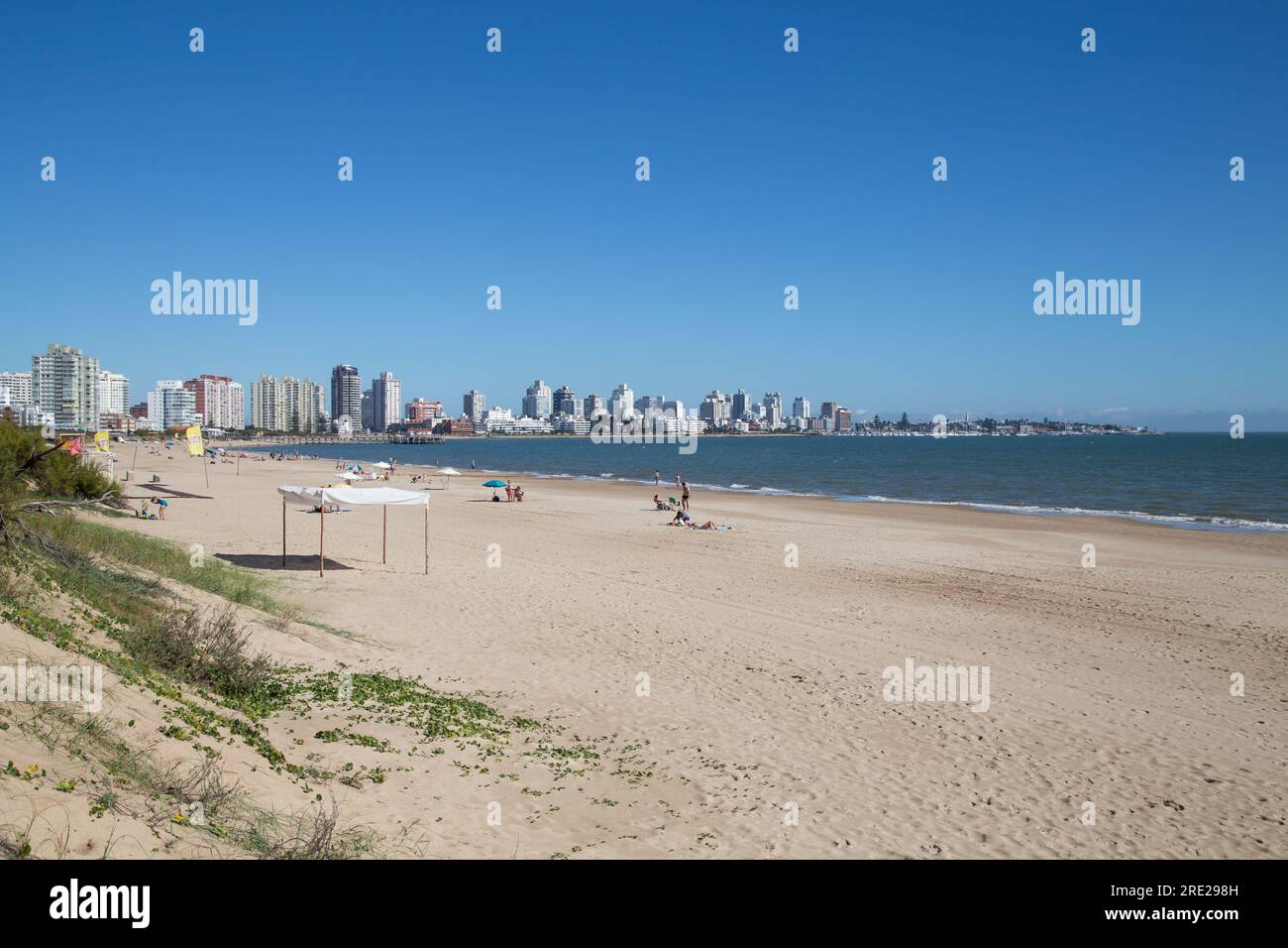 Vue imprenable sur Playa Mansa à Punta del Este, Maldonado, Uruguay, où les eaux tranquilles rencontrent le rivage de sable Banque D'Images