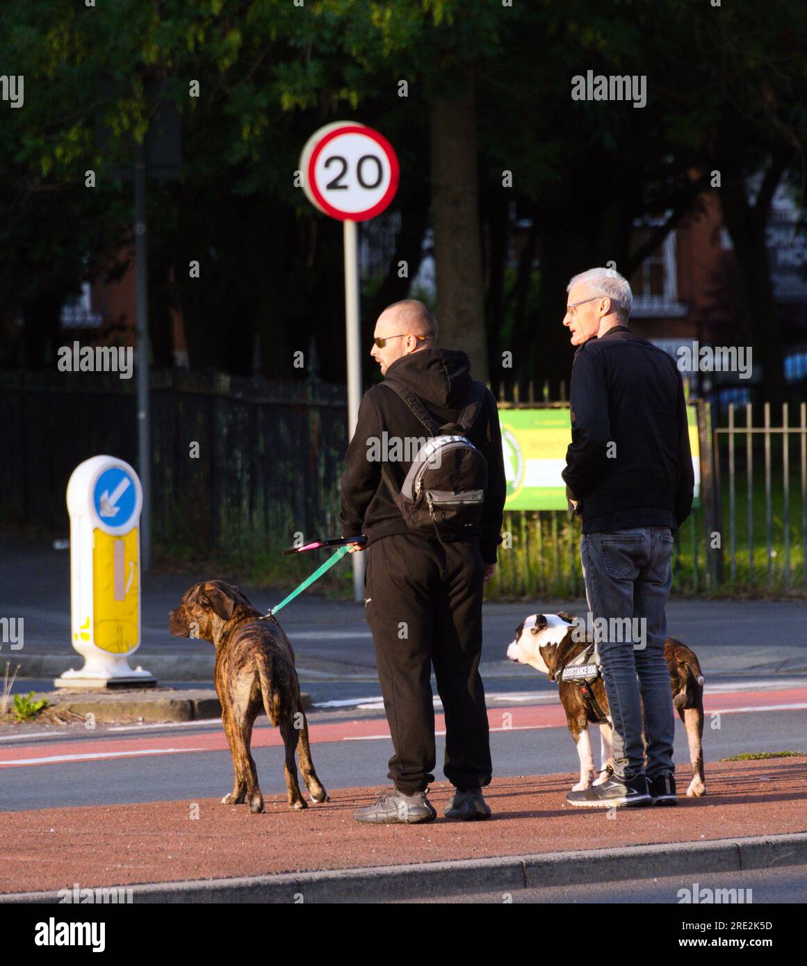 Manchester, Royaume-Uni. 24 juillet 2023. Deux hommes prennent deux chiens pour leur promenade du soir, vérifier la circulation sur A6, alors qu'ils se dirigent vers Ardwick Park. Le soleil se couche pour donner un soleil de côté lumineux et une soirée rafraîchissante rafraîchissante. Prendre un Nikon D750 pour une promenade à Ardwick. Crédit : Terry Waller/Alamy Live News Banque D'Images