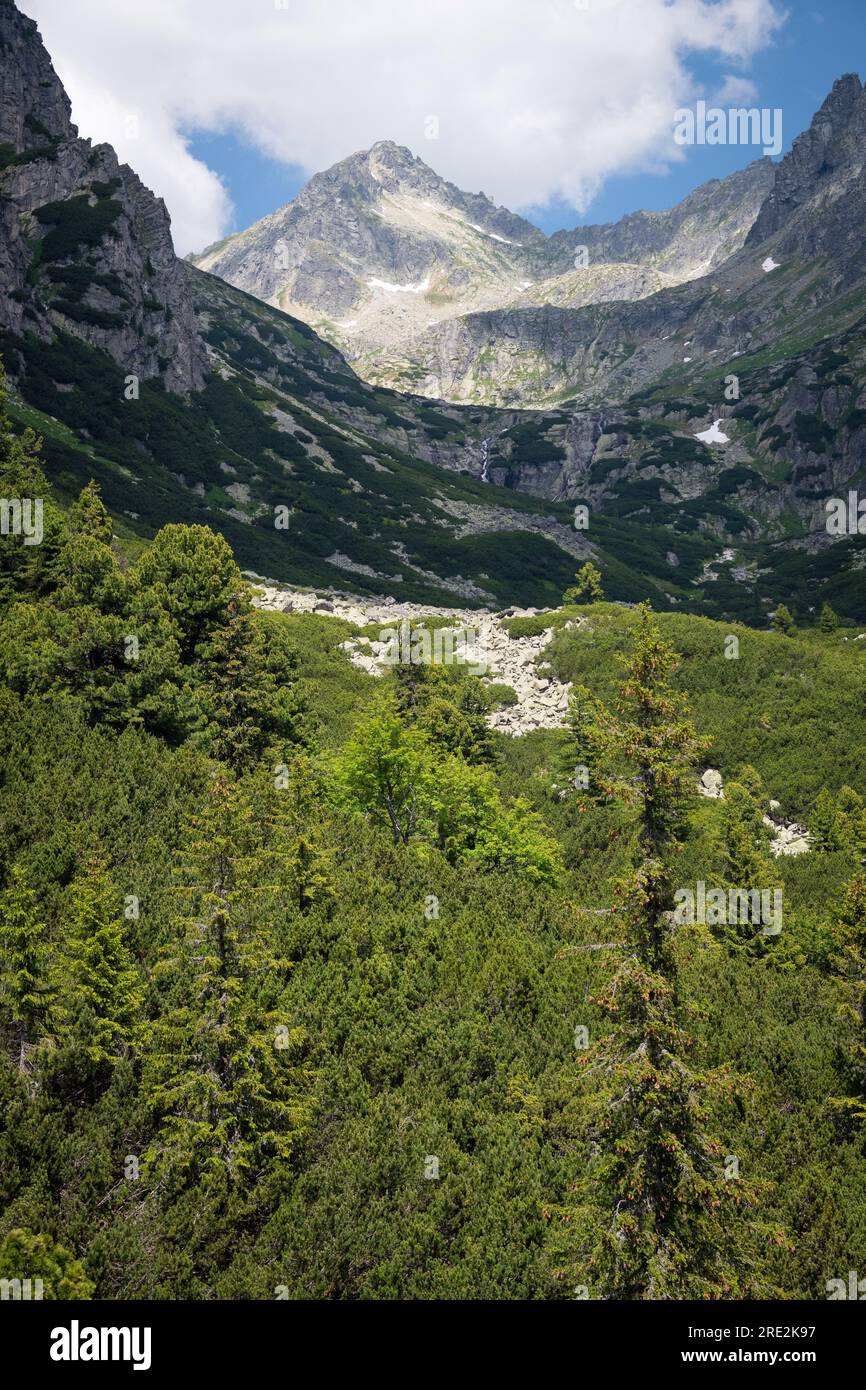 La vue aérienne depuis le téléphérique de la cascade de montagne Skok avec le pic Strbsky en arrière-plan, Parc National des Hautes Tatras, Slovaquie Banque D'Images