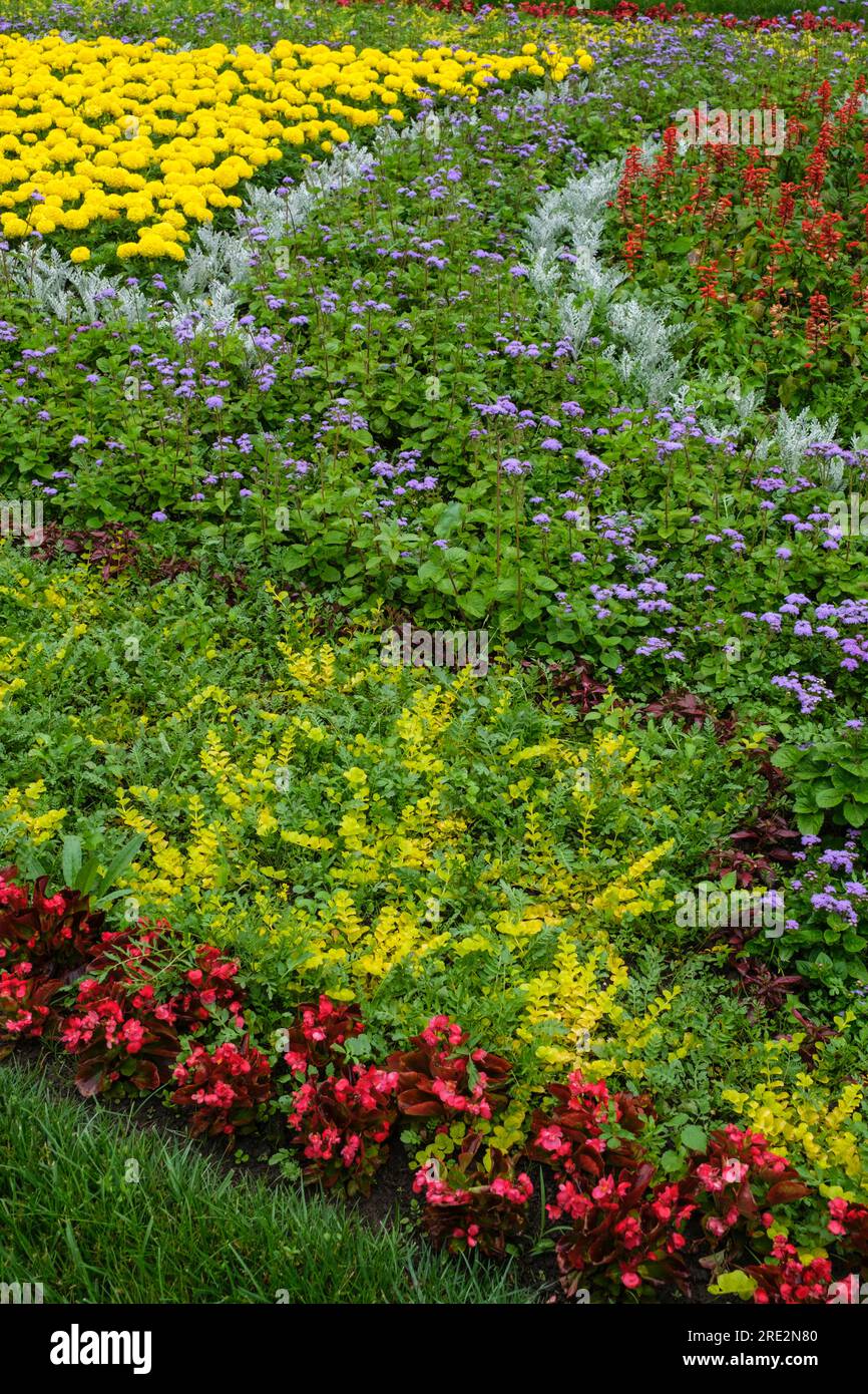 Kazakhstan, Almaty. Lit de fleurs dans Central Park pour la culture et les loisirs. Banque D'Images