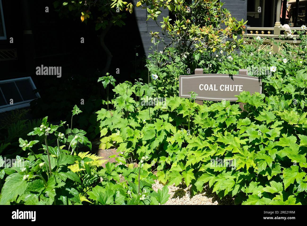 Chute de charbon ; la Winchester Mystery House à San Jose, en Californie ; ancienne maison de Sarah Winchester, veuve du magnat des armes à feu William Wirt Winchester. Banque D'Images