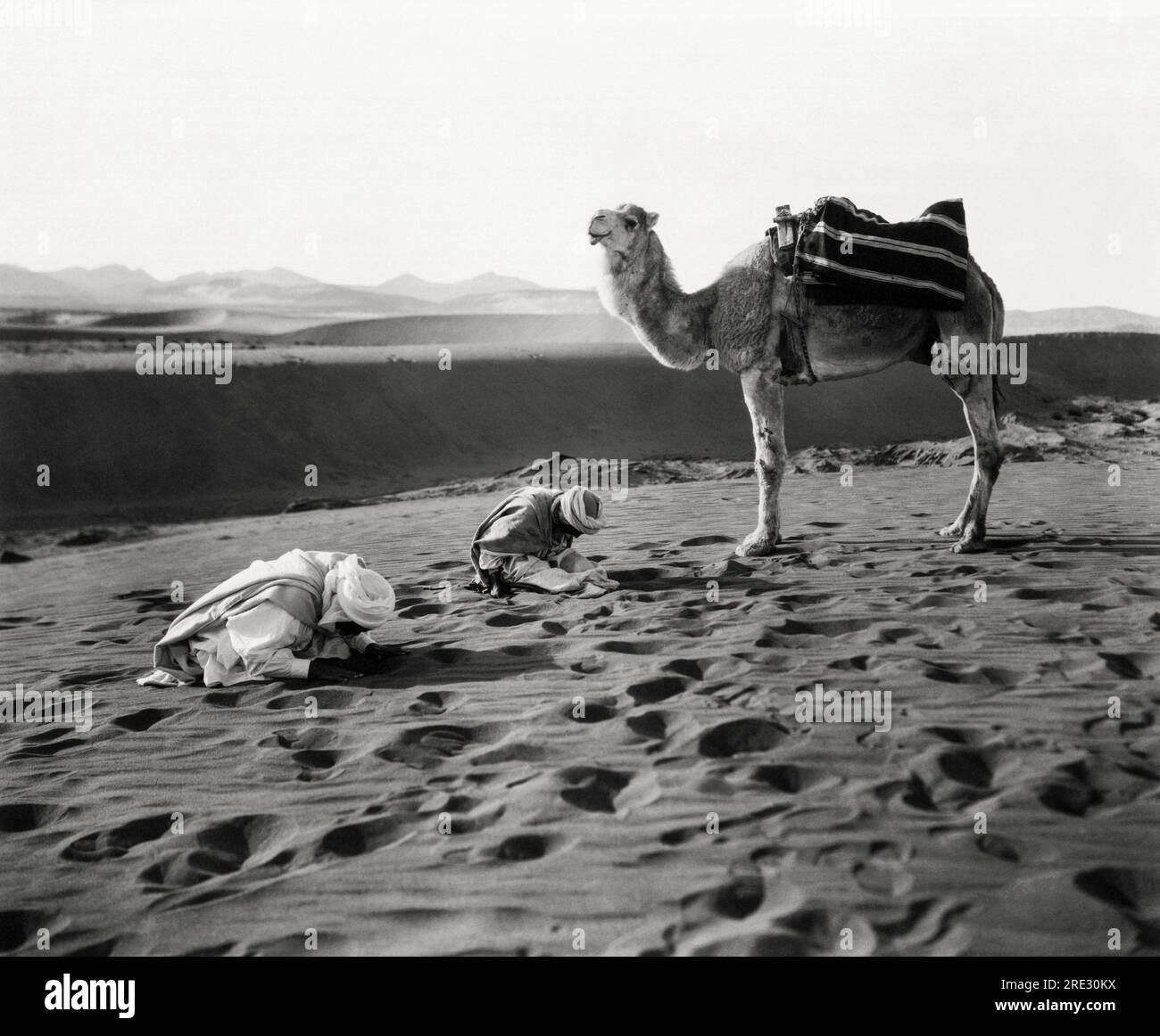 Egypte : c. 1925 voyageurs à dos de chameau faisant une pause dans le désert pour descendre et prier vers la Mecque. Banque D'Images