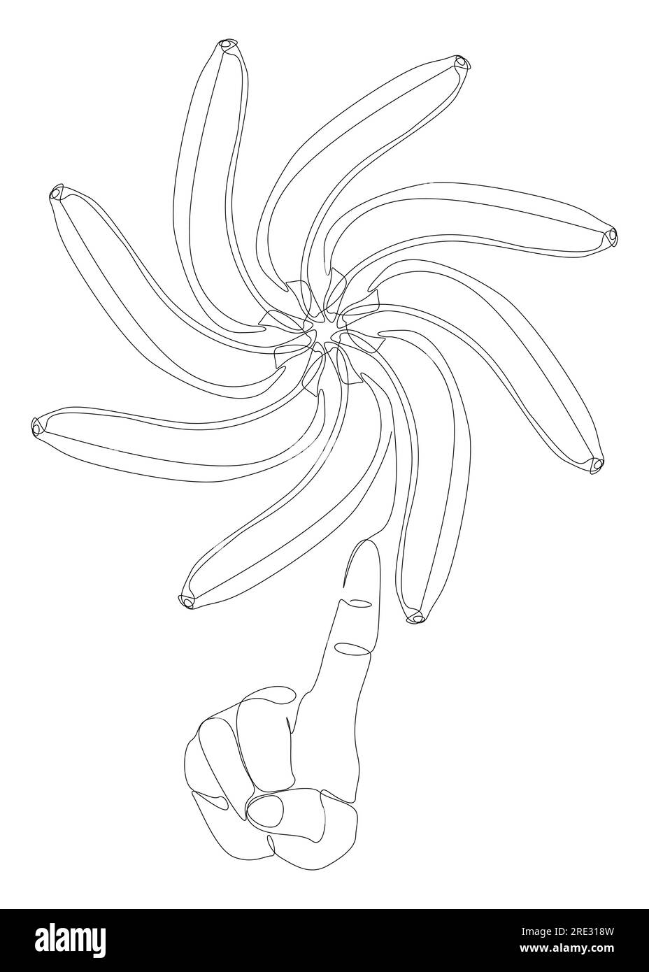 Une ligne continue de la main avec Banana. Concept de vecteur d'illustration de ligne mince. Dessin de contour idées créatives. Illustration de Vecteur