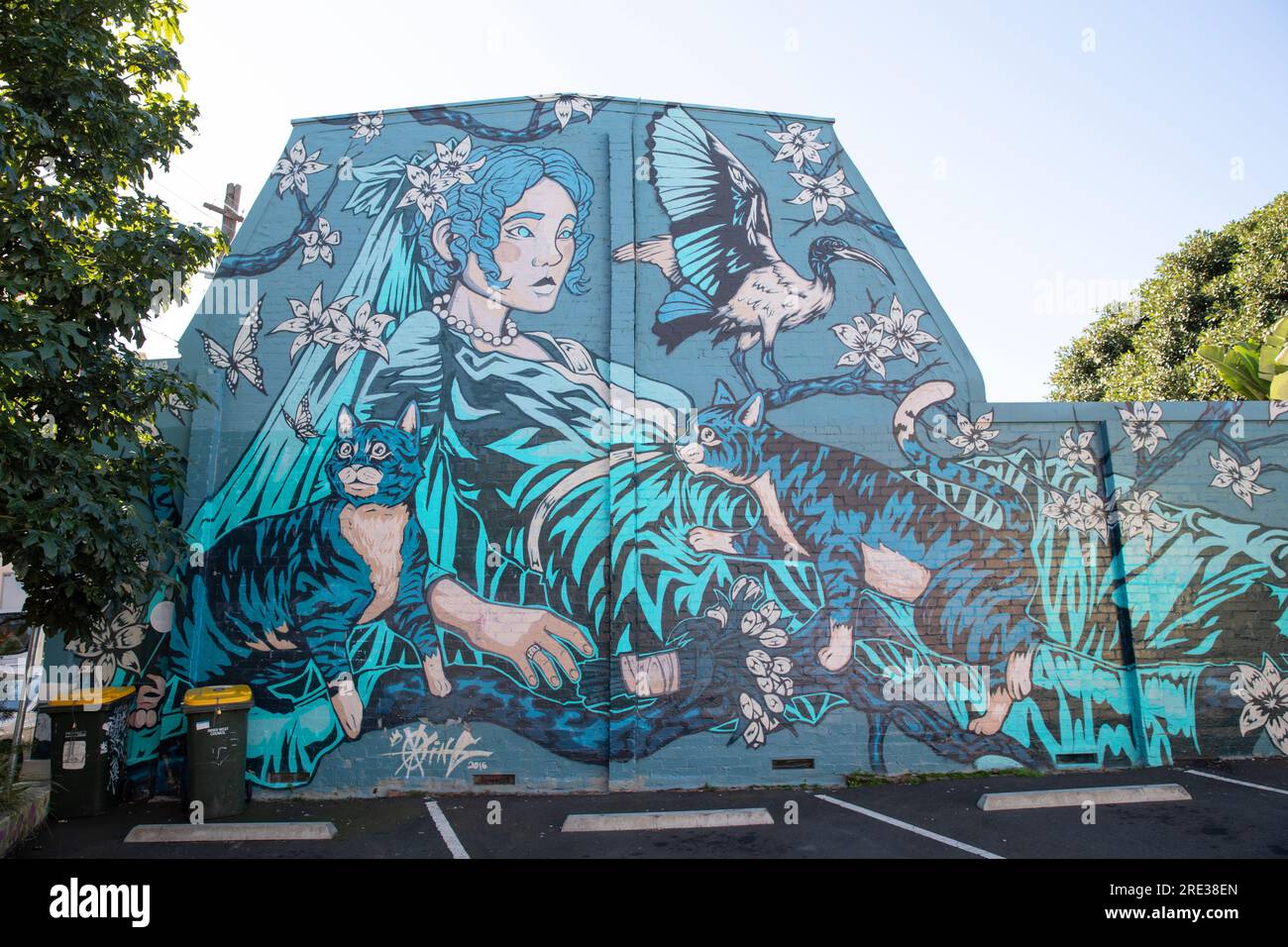 Street art Newtoen, Sydney, Australie Banque D'Images