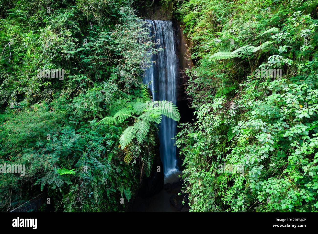 Cascade Goa Raja située à Bangli Regency à bali, indonésie Banque D'Images