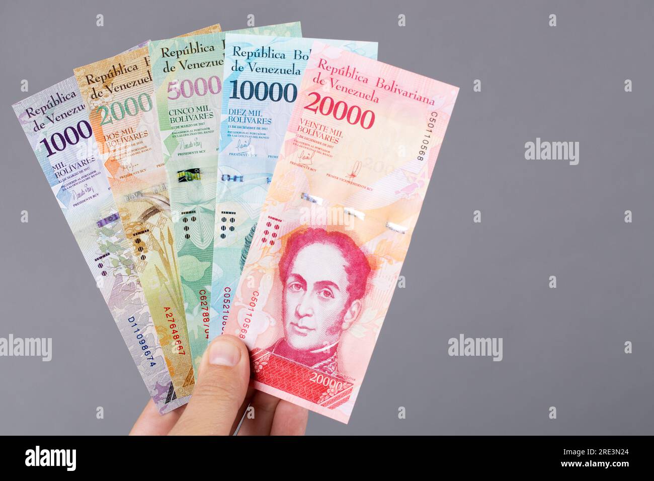 Argent vénézuélien - Bolivar dans la main sur un fond gris Banque D'Images