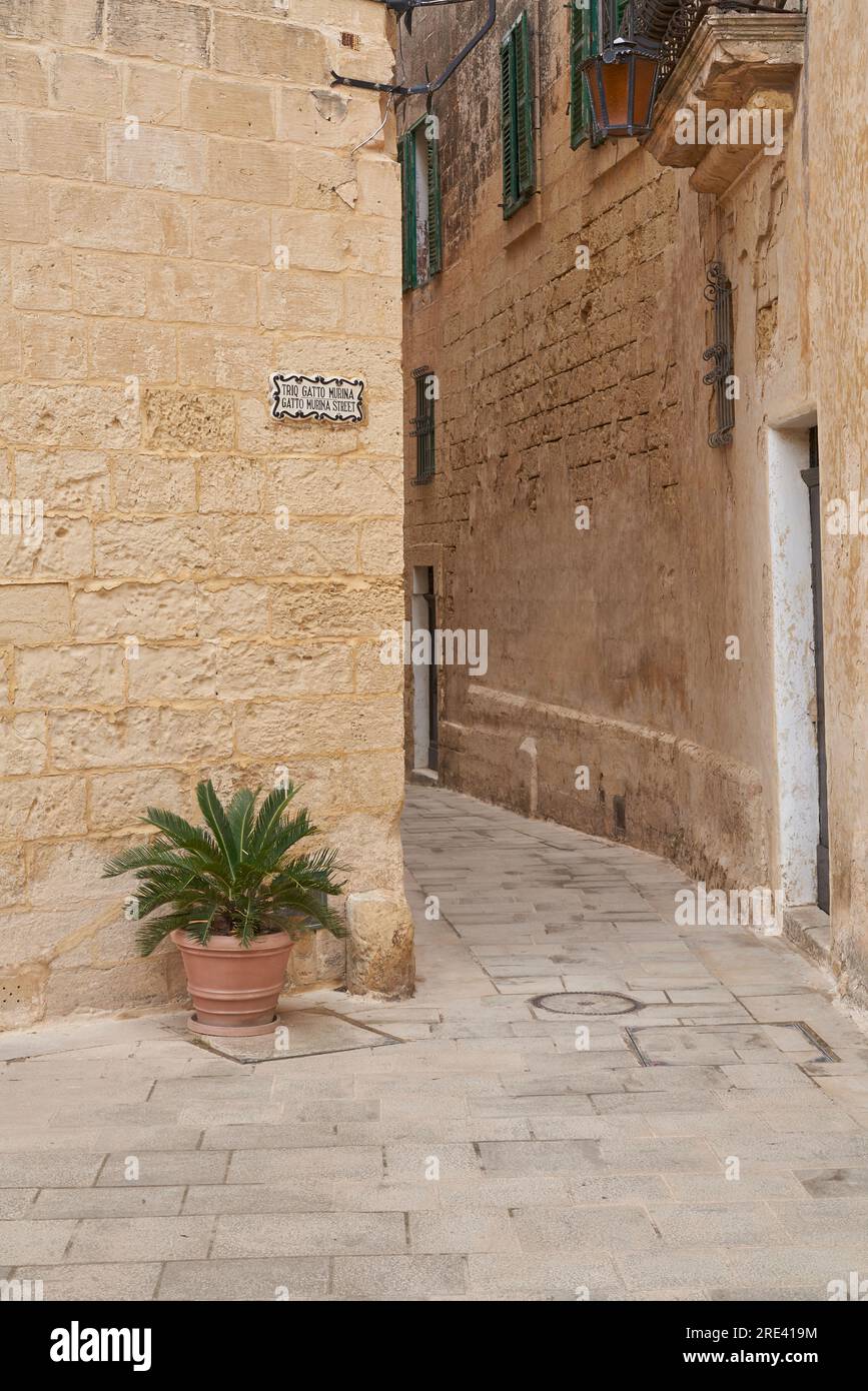 Rues étroites à l'intérieur de la ville fortifiée historique de Rabat à Malte Banque D'Images