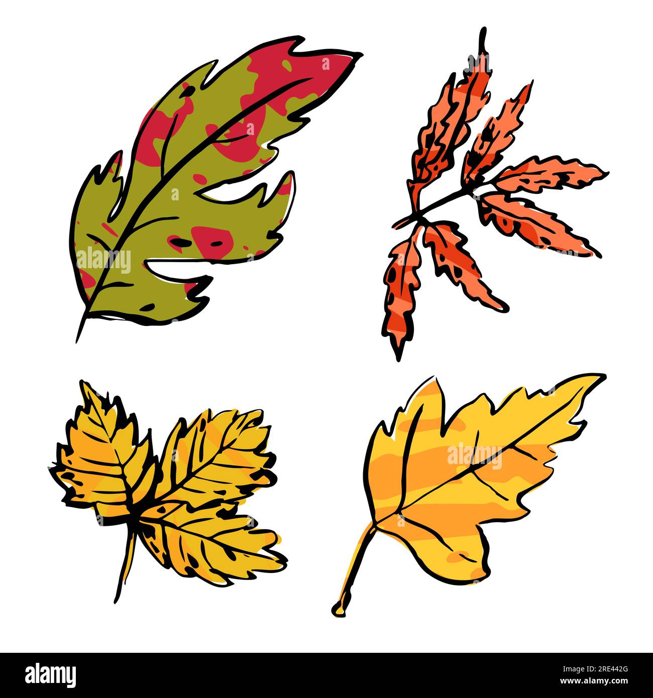 Ensemble de feuilles de motley croquis d'automne. Couleur texturée dessinée à la main taches d'herbe sur fond blanc. Plantes Doodle. Nature, jardinage, forêt, signe d'automne. Sculpté Illustration de Vecteur