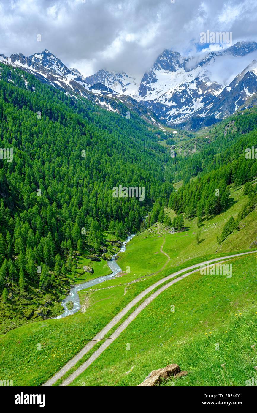 Paysage de montagne dans la vallée de Passeier au-dessus de Rabenstein, Moos à Passeier, Tyrol du Sud, Italie. Banque D'Images
