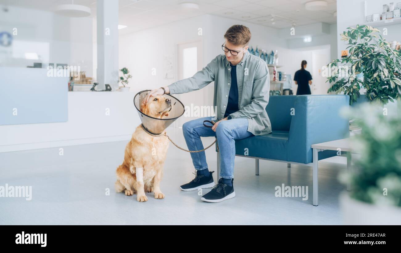 Client accompagnant son animal domestique au rendez-vous du médecin à la clinique vétérinaire. Bilan de santé régulier pour les animaux de compagnie Banque D'Images