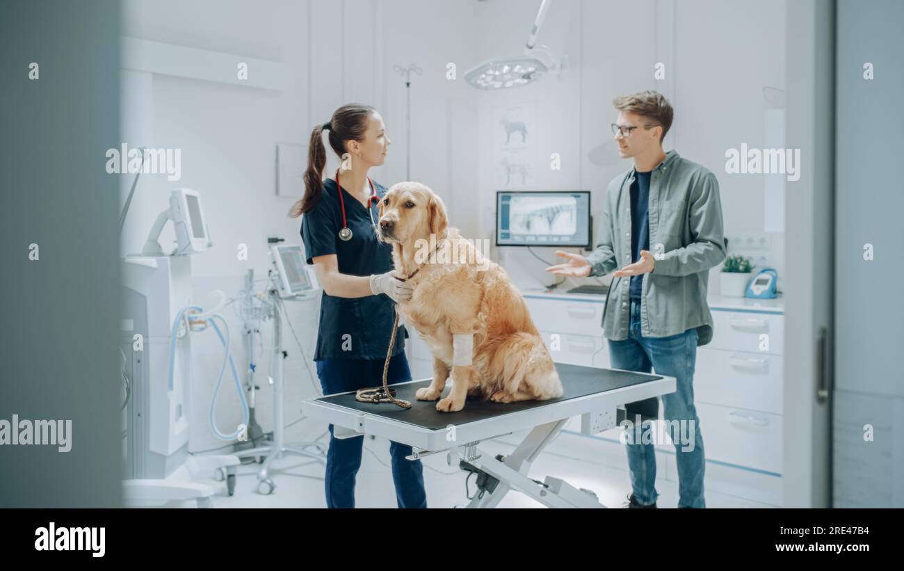 Client accompagnant son animal domestique au rendez-vous du médecin à la clinique vétérinaire. Bilan de santé régulier pour les animaux de compagnie Banque D'Images