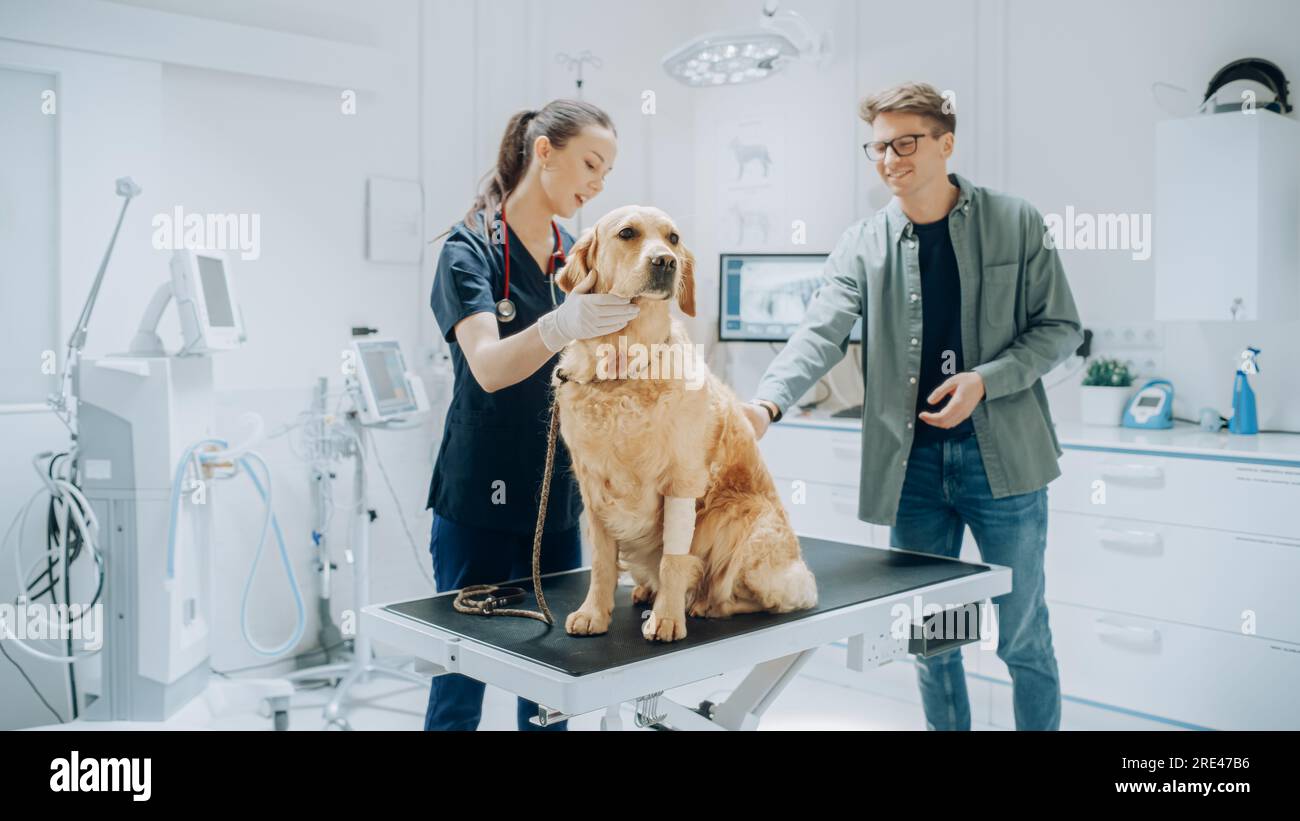 Client accompagnant son animal domestique au rendez-vous du médecin à la clinique vétérinaire. Bilan de santé régulier pour les animaux de compagnie Banque D'Images