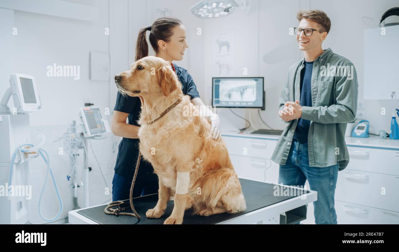 Client accompagnant son animal domestique au rendez-vous du médecin à la clinique vétérinaire. Bilan de santé régulier pour les animaux de compagnie Banque D'Images