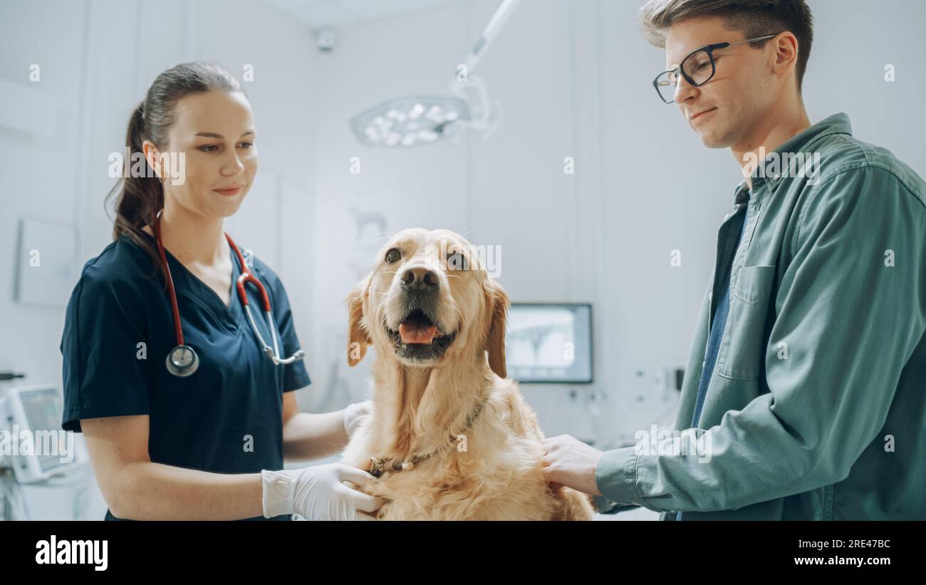 Client accompagnant son animal domestique au rendez-vous du médecin à la clinique vétérinaire. Bilan de santé régulier pour les animaux de compagnie Banque D'Images
